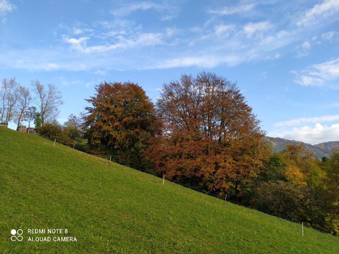 Agriturismo Fattoria Ortoalpino Trichiana Extérieur photo